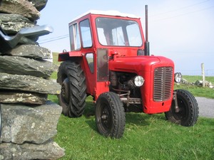 A well maintained Massey Ferguson in Middlequarter.