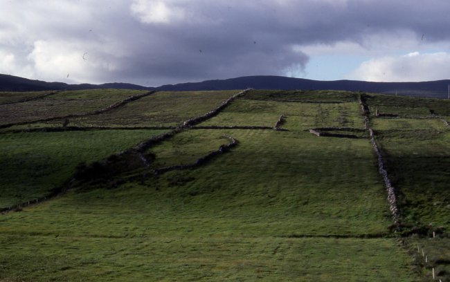 A side view of one of the drumlin islands. Clew Bay islands are mostly drumlins which are typically long rounded hills deposited at the end of the last Ice Age.