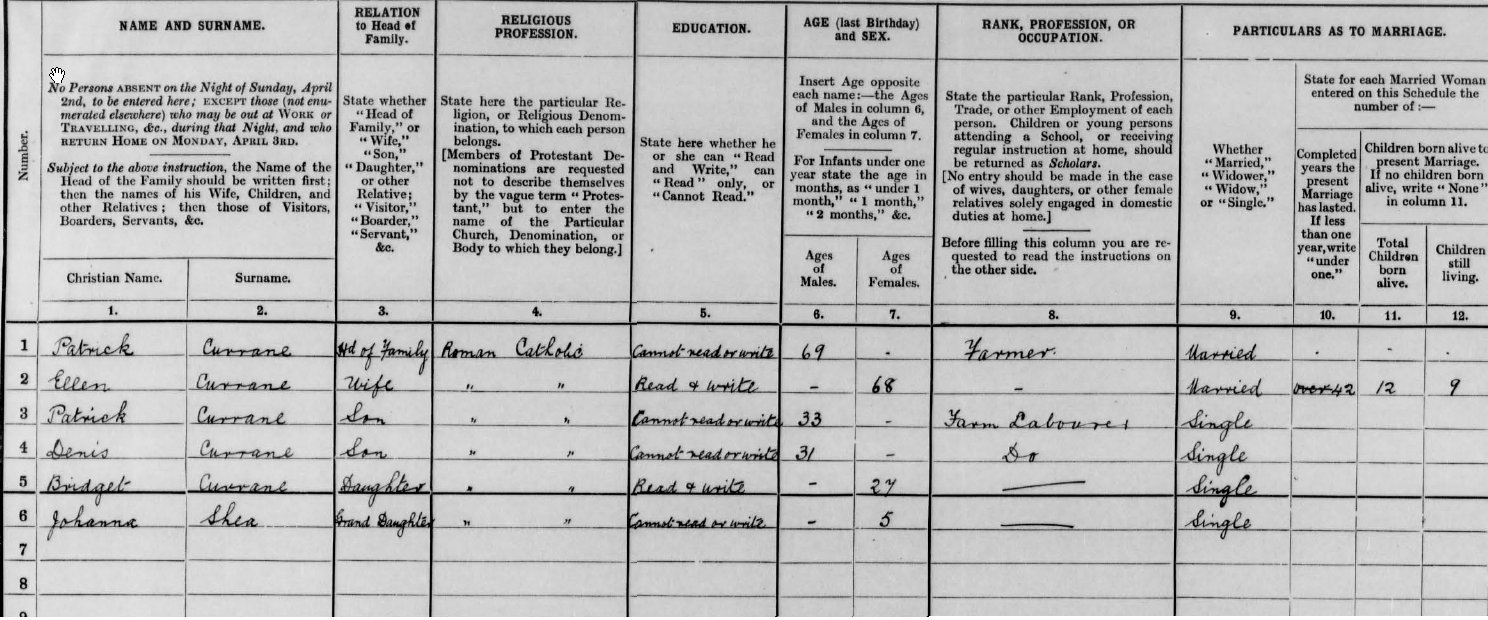 The only 1911 Census return for Deenish Island