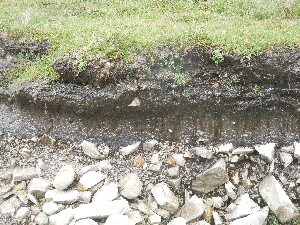 rainn Mhir - roadside soil profile showing a thin top layer of turf (peat)