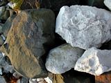 White Chalk and black basalt rocks on the beach at Church Bay.