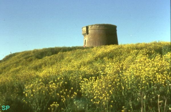 Martello Tower on Shenick Island